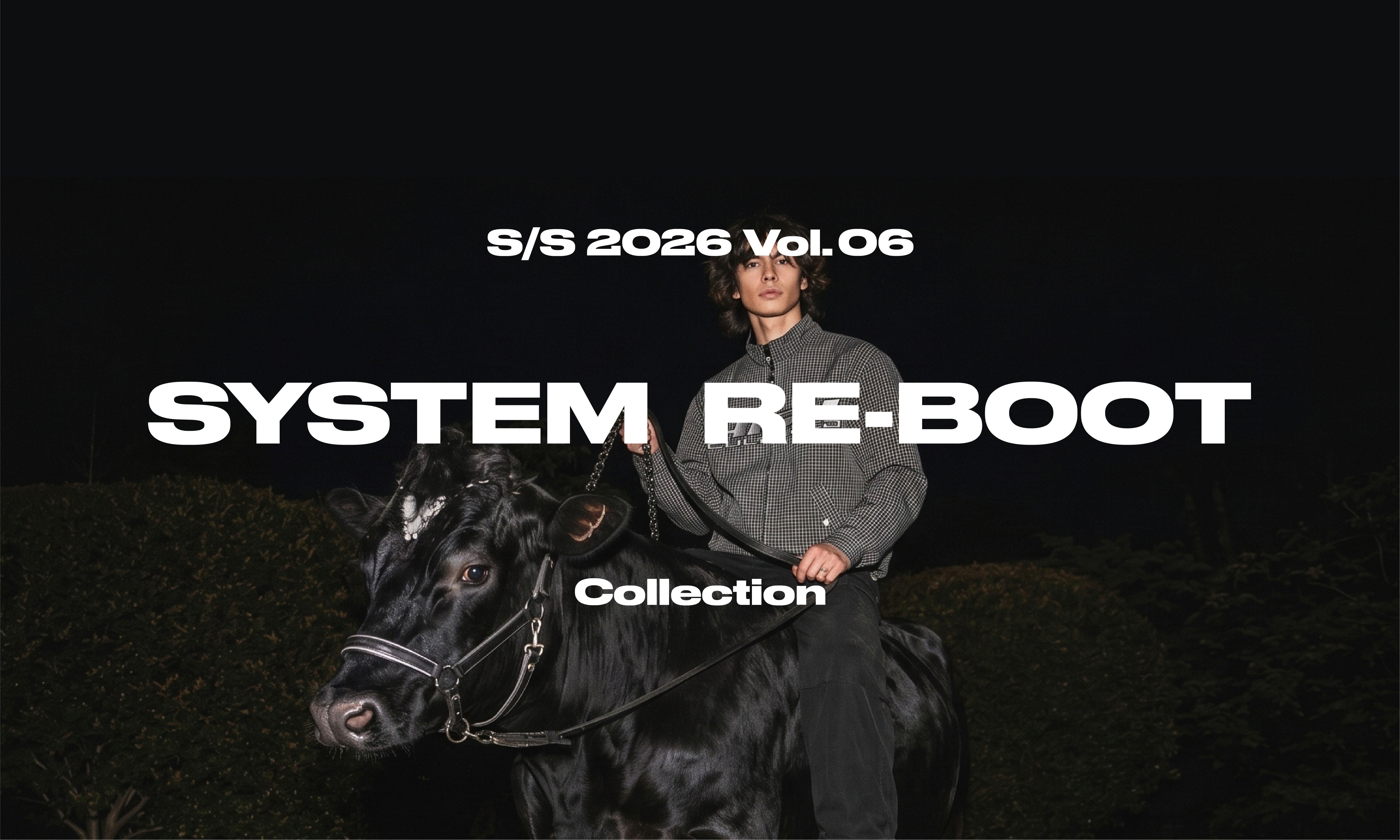 System Reboot