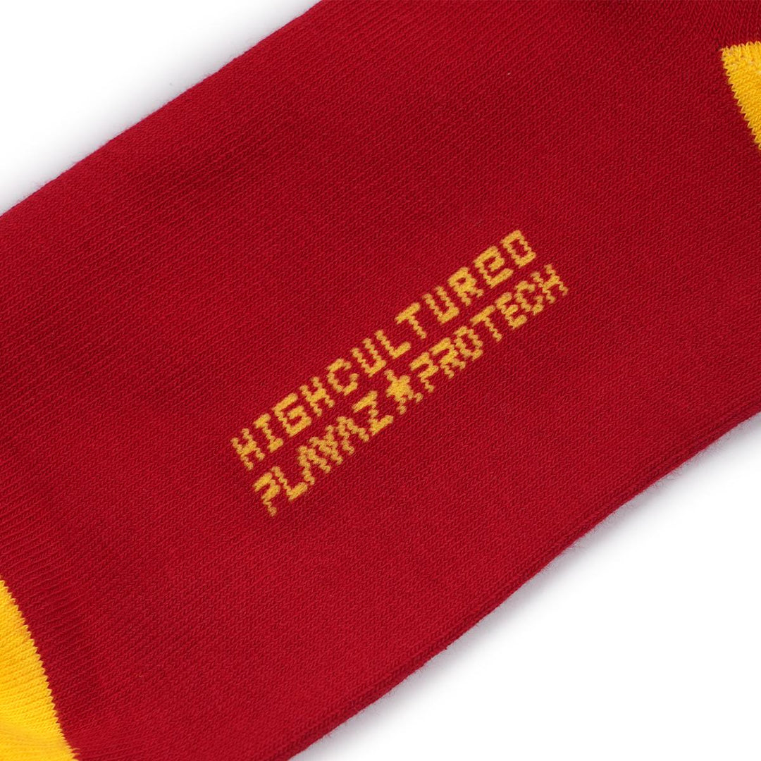 HIGH CULTURED x PLAYAZ x PROTECH x SRG Classic Long Socks - 33